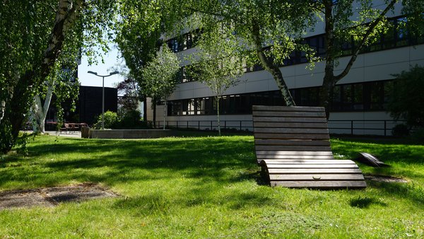 Holzbank im Park des RBZ Campus Köln auf Wiese